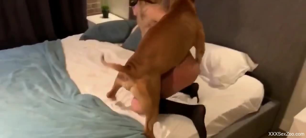 Beauty in red enjoying passionate hotel room beasitality