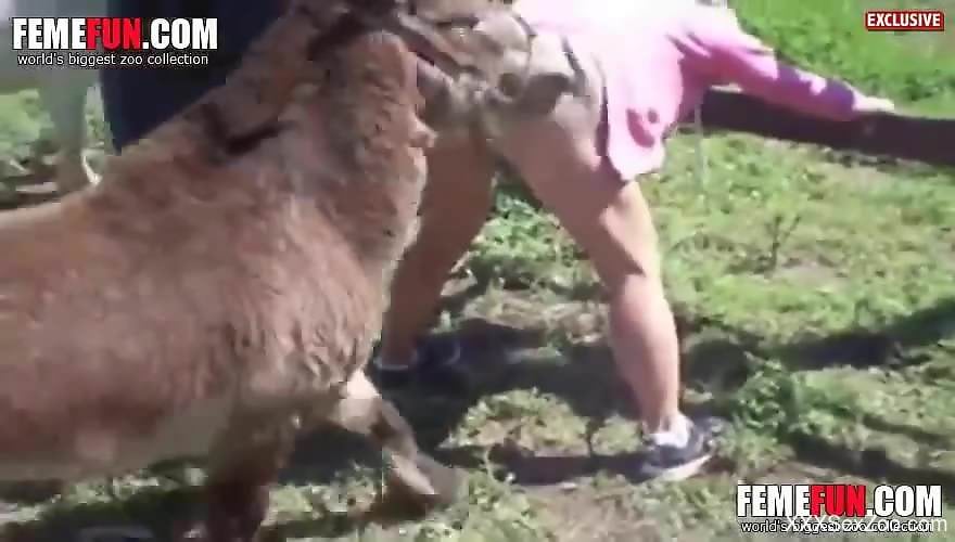 Some kinda animal fucking a beefy MILF bitch