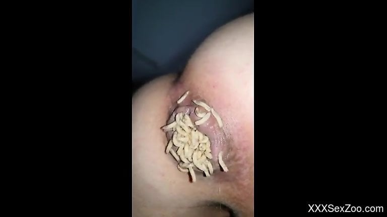 Gay man fills butt hole with worms in dirty cam kink