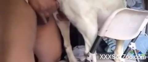 Amateur man films himself deep drilling his dog in brutal manners