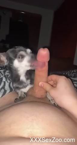 Loud solo masturbation grants horny man shivering pleasures