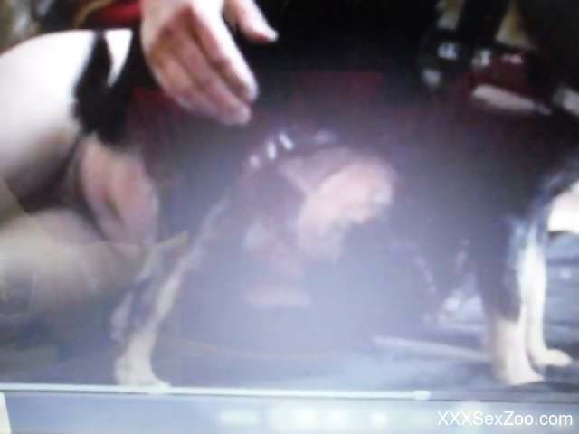 Fat dude gives a great handjob to his kinky doggo