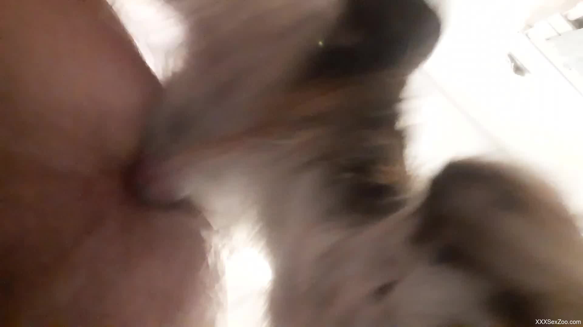 Lucky man enjoying a big dick in his tight bum