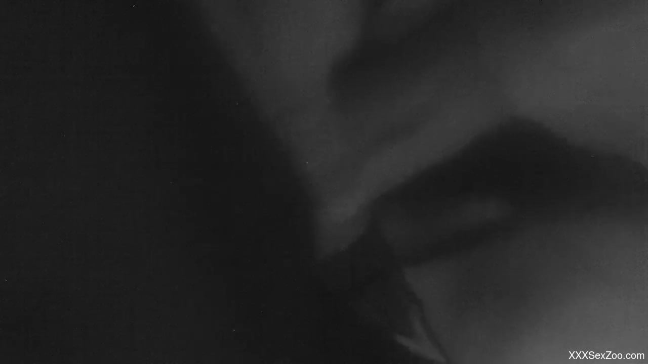 Late night zoophilia shows man fucking with his dog