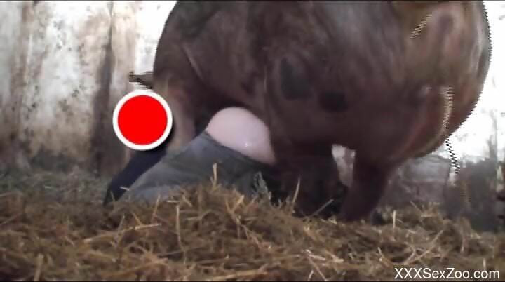 Pig ass fucks naked woman and comes on her fine ass