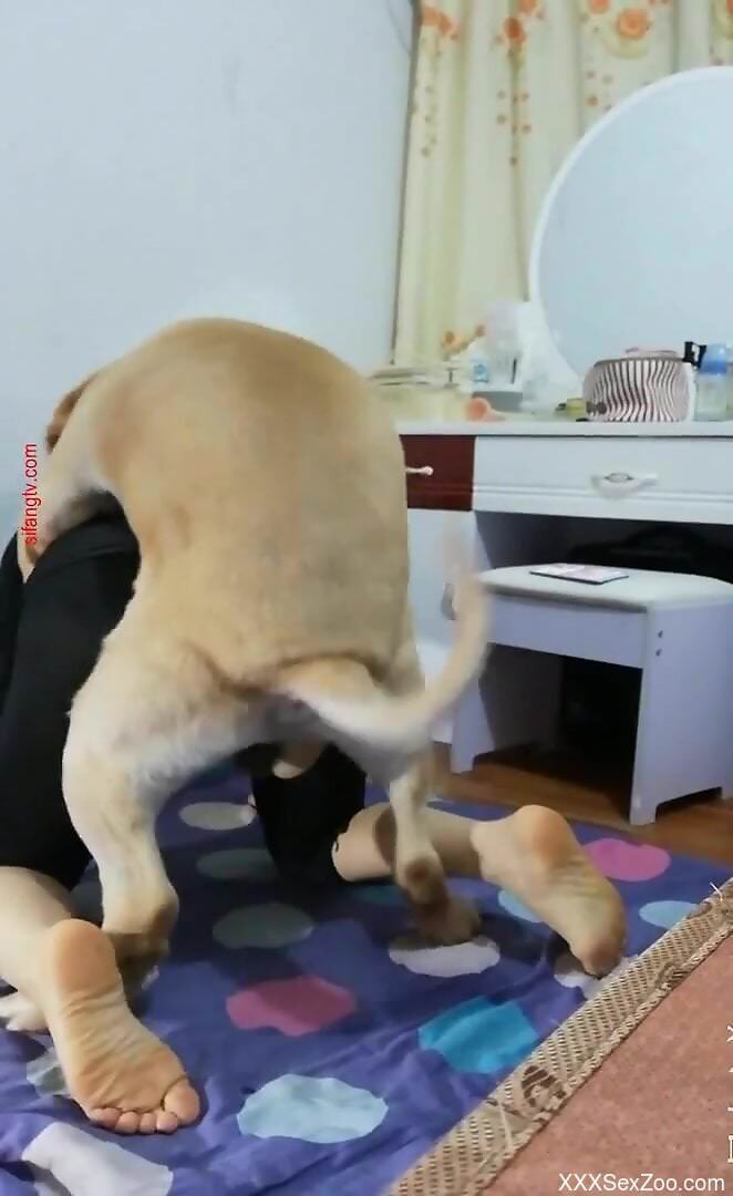 Busty babe with hairy cunt home fucked by the dog in amateur XXX