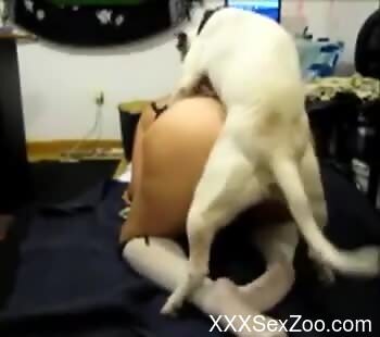 Sexy ass amateur woman doggy style drilled by her dog