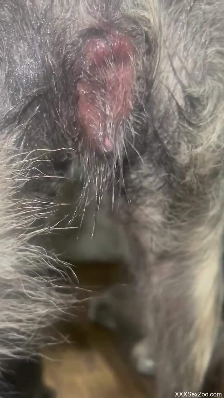 Greatest sex session with a sweaty cock stud