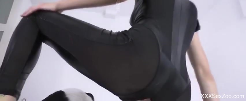 Leather clad zoophile hottie banged by a black dog