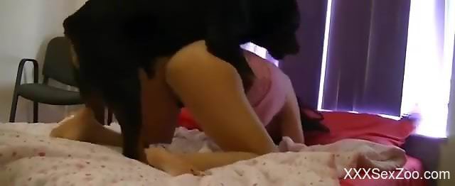 Doggy style dog fucking experience for the needy wife