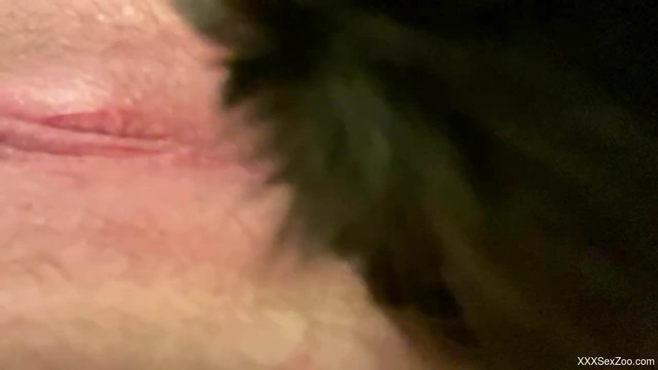 Tight female inserts furry cock into her wet vagina