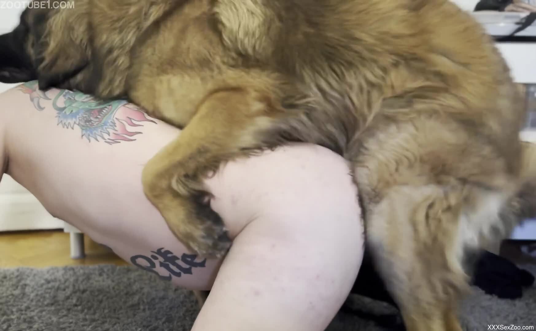 Nude gay man enjoys cam anal sex with his furry dog