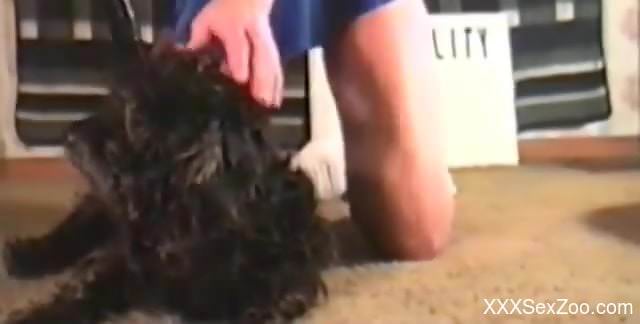 Curvy ass amateur woman filmed in sexy homemade zoophilia