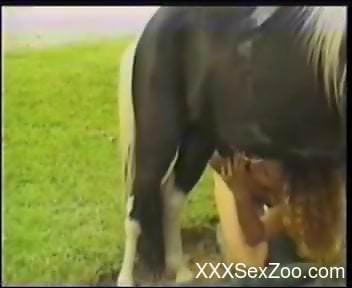 Incredible sex scene with a pony and a Latina