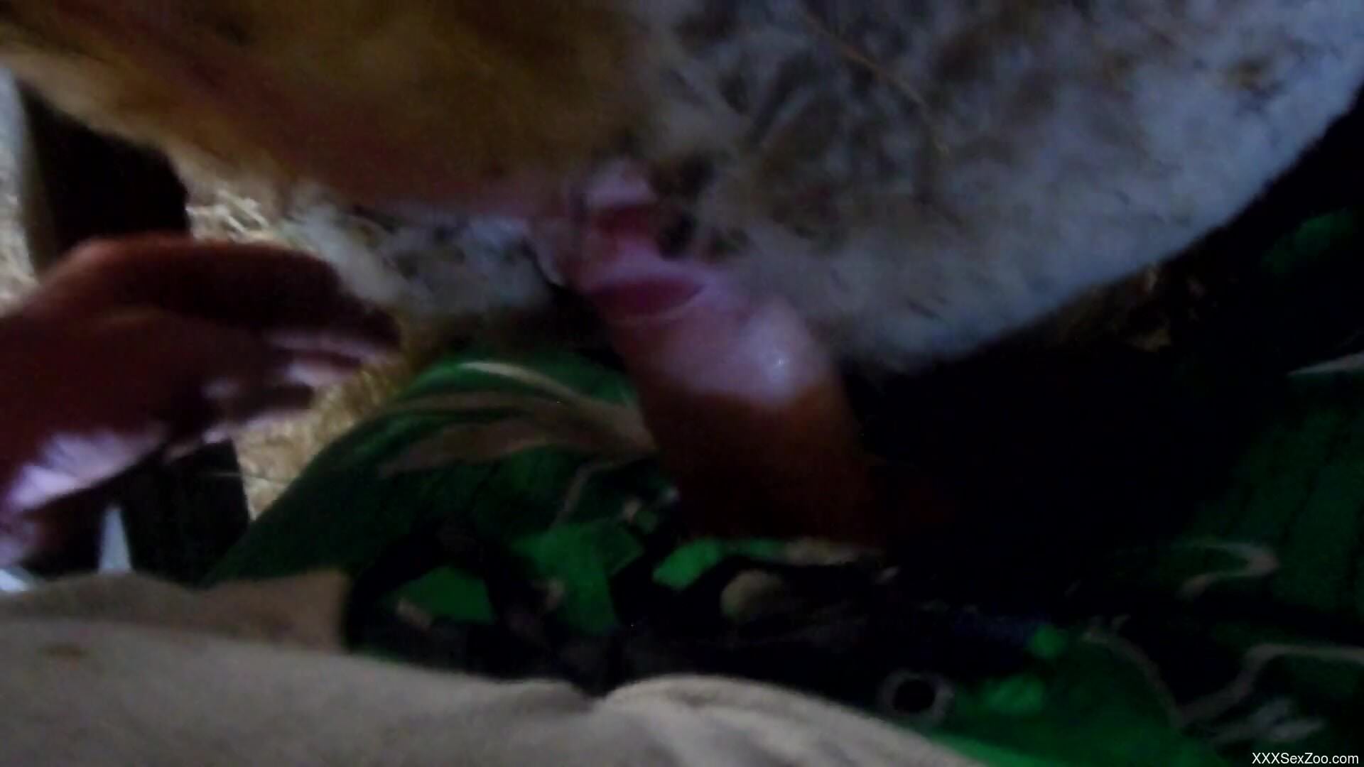 Pretty guy is going to fuck a horny beast too