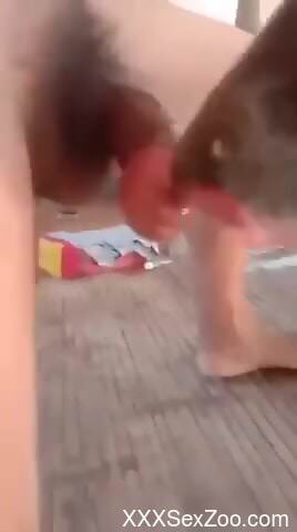 The best fucking with a really twisted zoophile