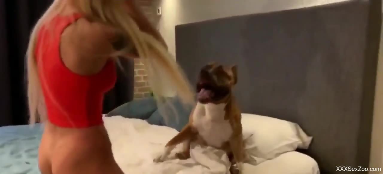 Hot lady is going to get pounded on all fours with passion