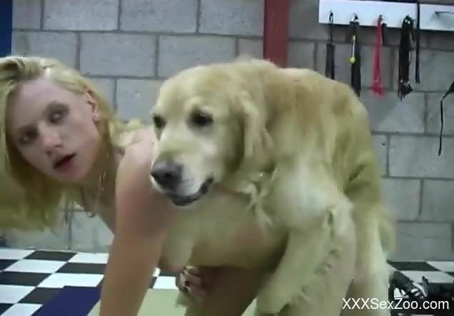 Messy zoophilic scene with horny bitches in HD