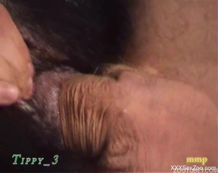 Dirty scenes of zoo dog porn with a horny man