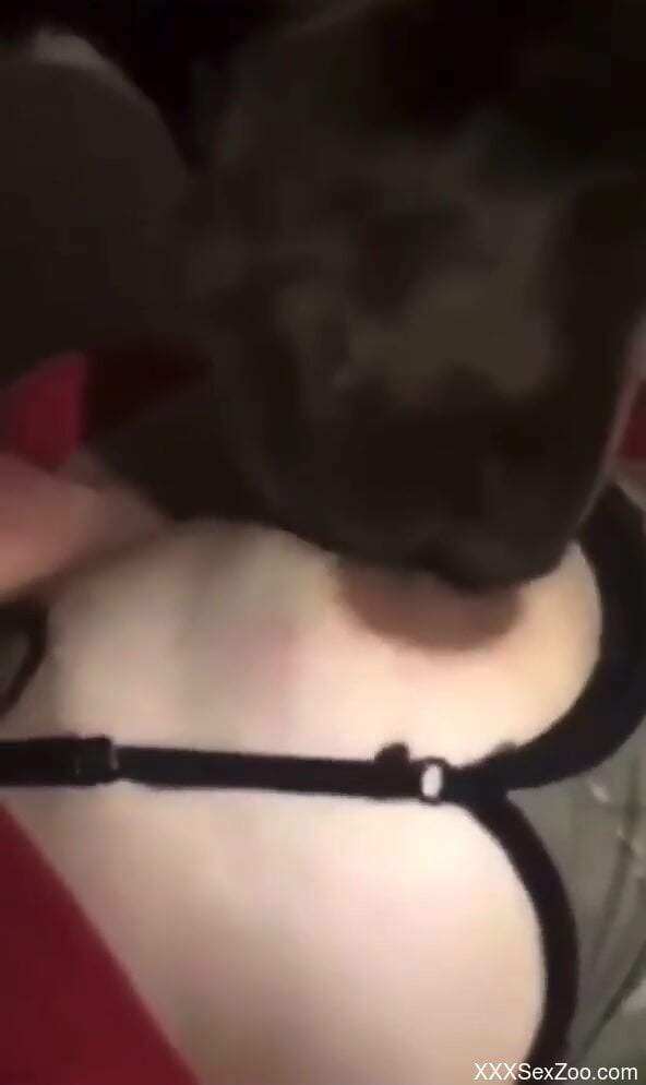 Dog worships breasts and makes the hottie wetter