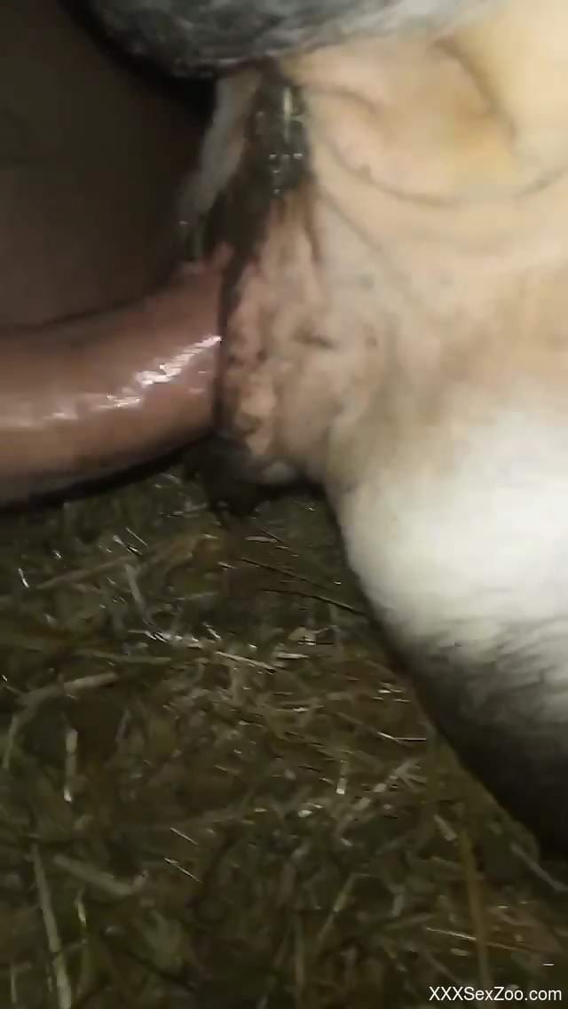 Guy fucks a hot animal with his meaty penis happily
