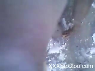 Dude with a really hairy asshole gets boned by a dog