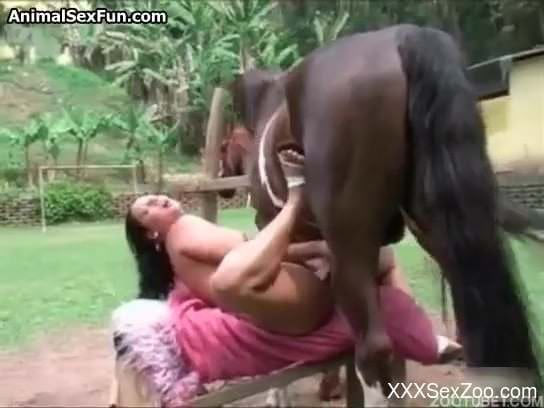 Stunning hottie gets hardly nailed by brown stallion