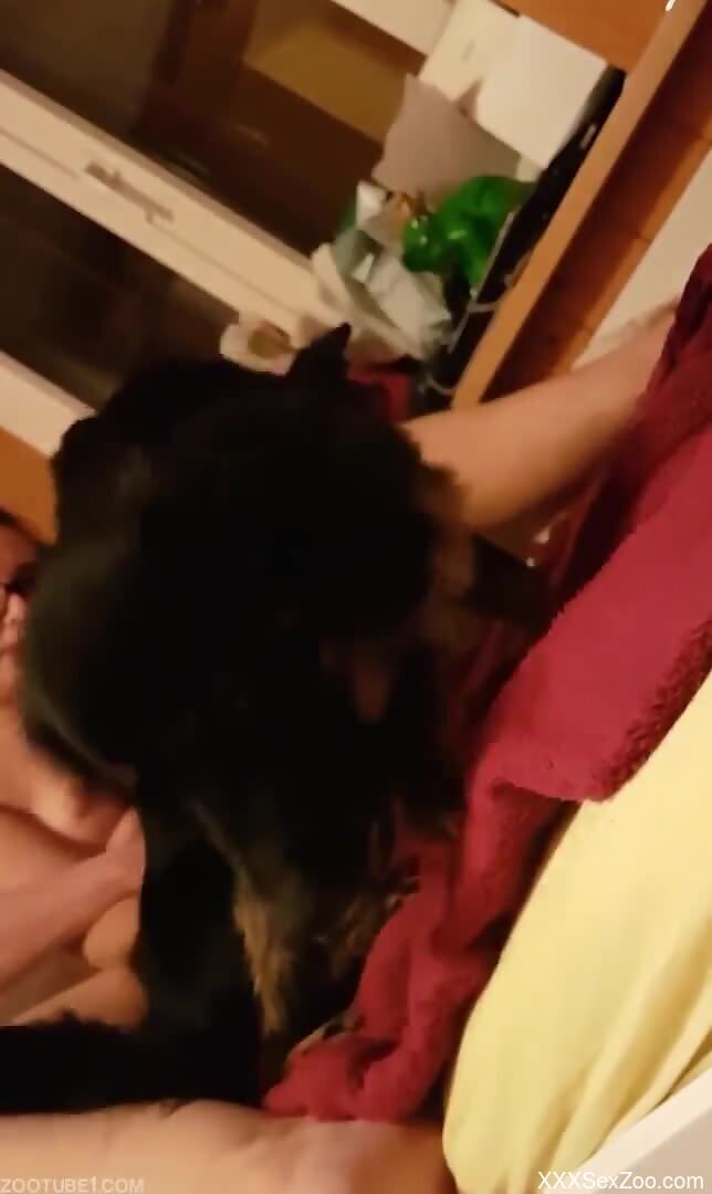Furry dog makes naked woman come by licking her wet cunt