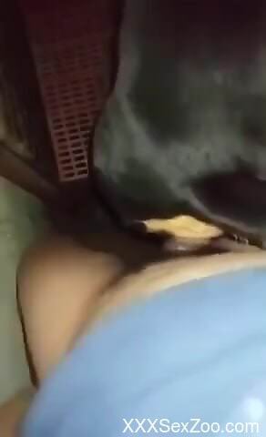 Steamy amateur tries heavy dog dick for limitless passion