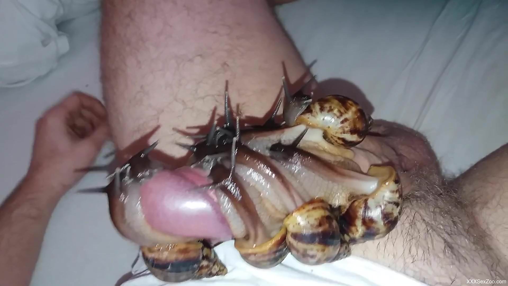 Dude's entire dick gets covered in sexy snails
