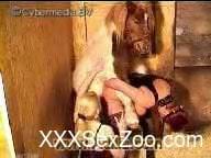 Black lingerie brunette fucks with a horse in a threesome