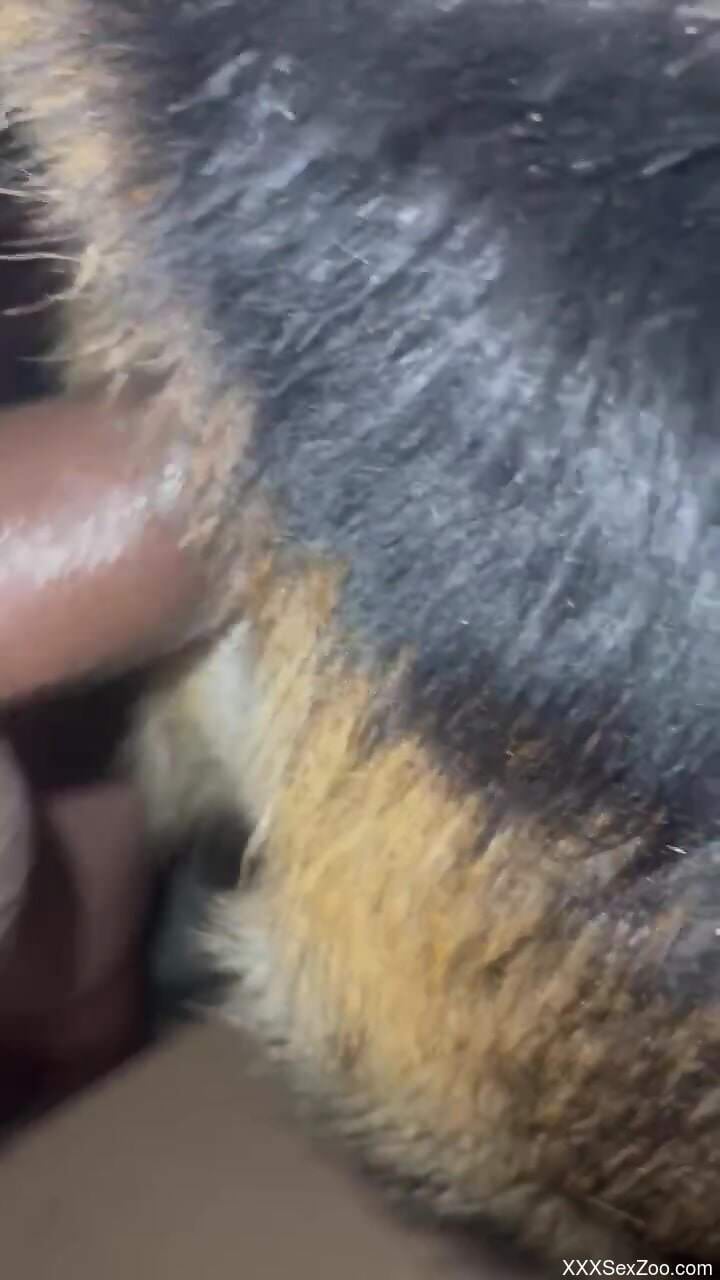 The guy is going to ram this penis in the hole