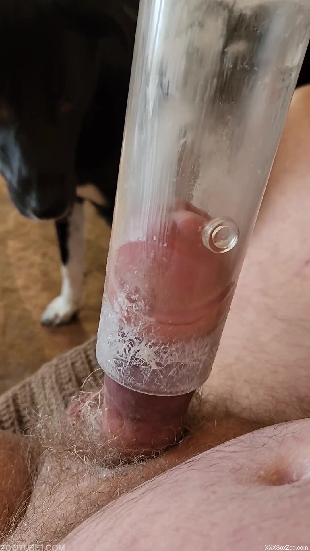 Fat dude prepares to fuck his dog in freaky ways