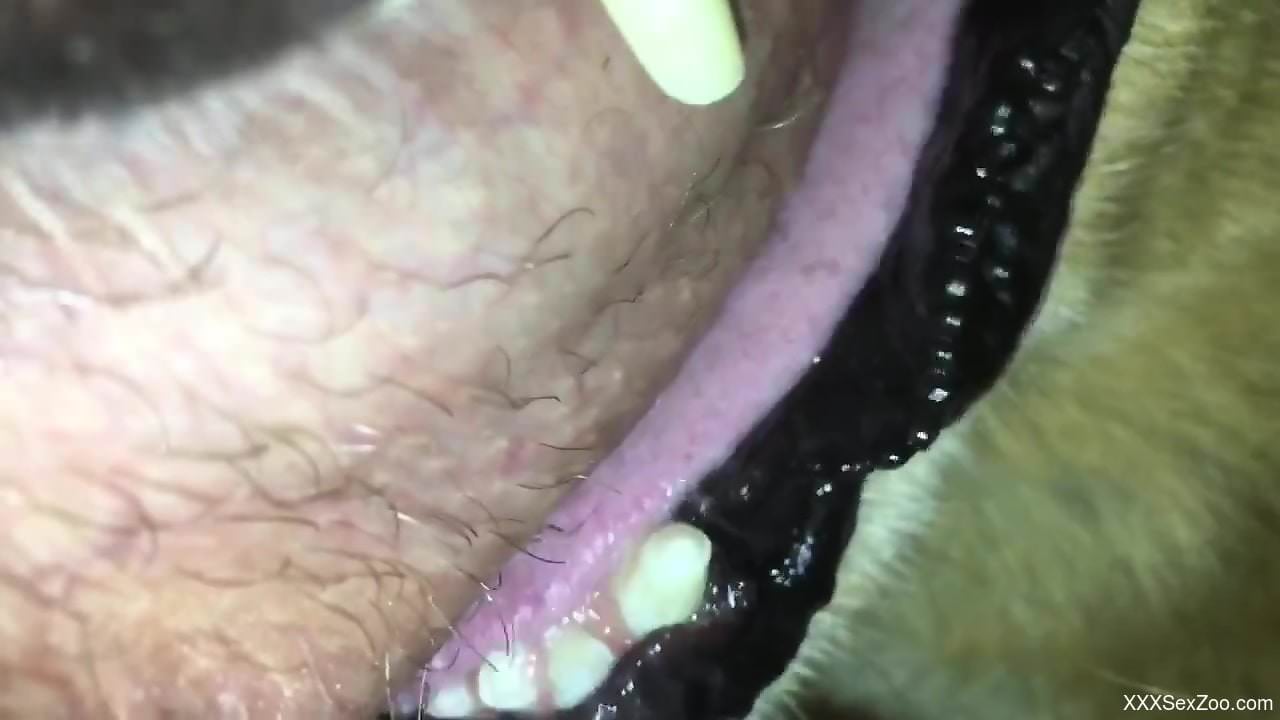 Dude happily face-fucking a submissive animal