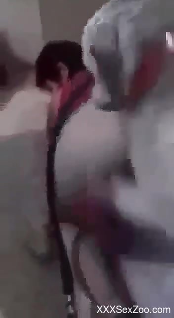 Awesome zoophilic session with a submissive hottie