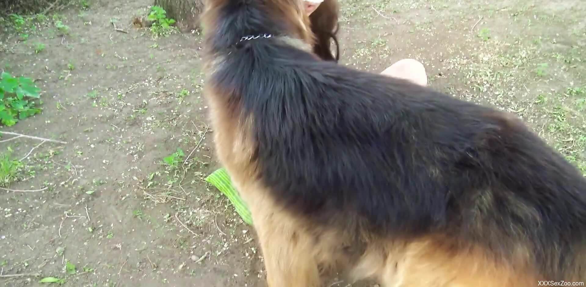 Half-naked woman enjoys furry cock in the wet pussy during farm porno