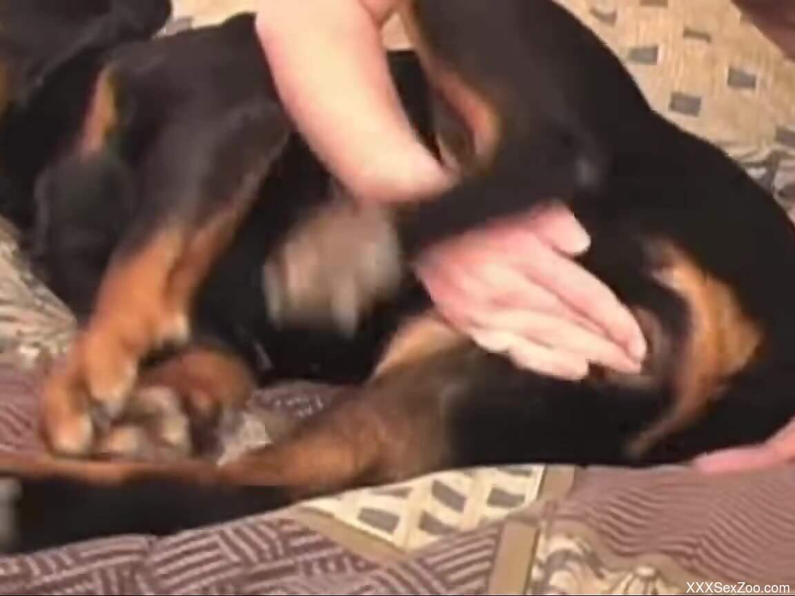 That animal's hole is going to be used a bunch