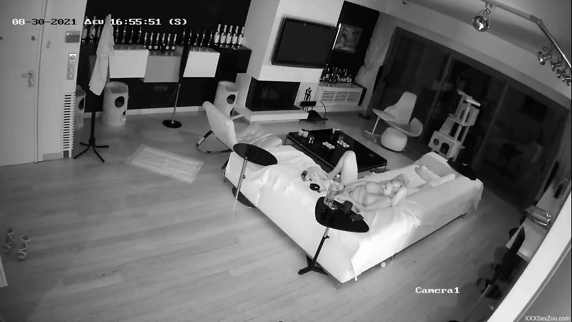 Hot lady showing how she usually seduces sexy dogs