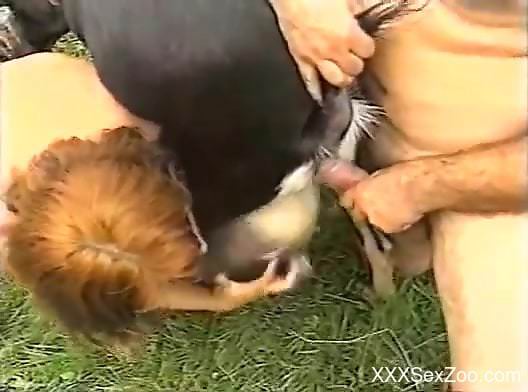 Outdoor bestiality orgy featuring all kinds of animals