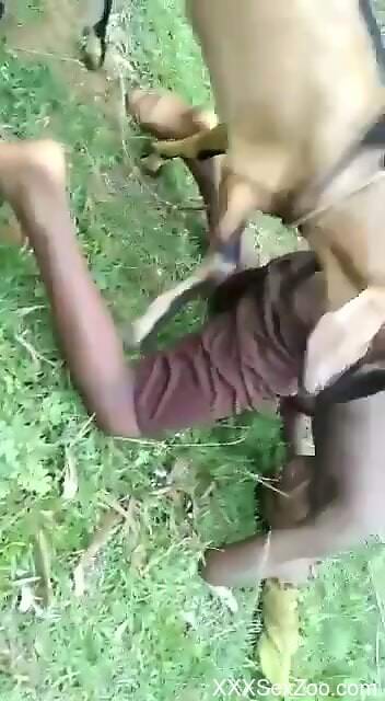 Nude man fucked in the ass by his dog in outdoor scenes