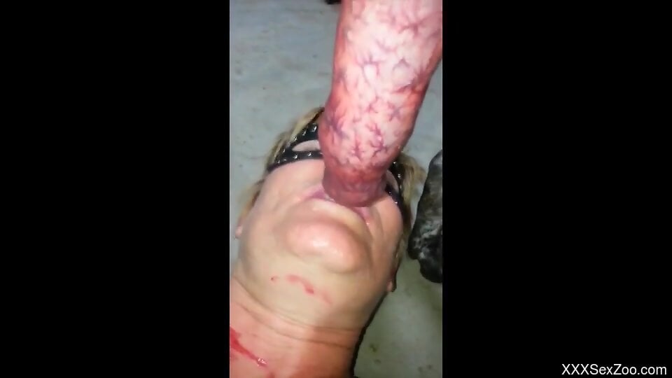 Insolent woman gets filmed when she deepthroats a dog dick like a pro