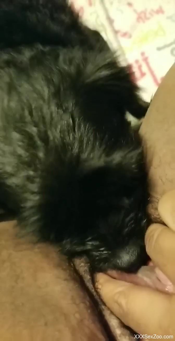 Closeup scenes when a man deep fucks his furry dog