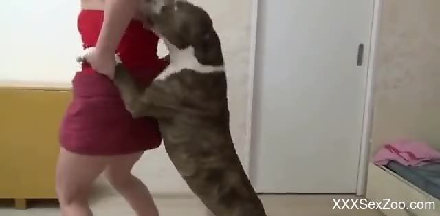 Bubble butt blonde screwed savagely by a doggo