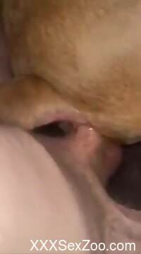 Dude displaying his oversized dick prior to sex