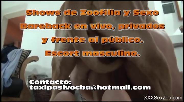 Intense gay bestiality with a chubby human bottom