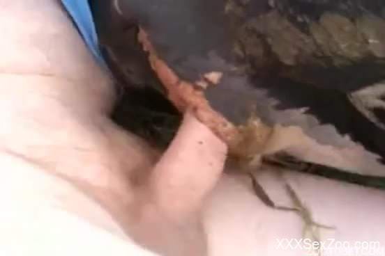 Well-endowed zoophile violating that animal hole