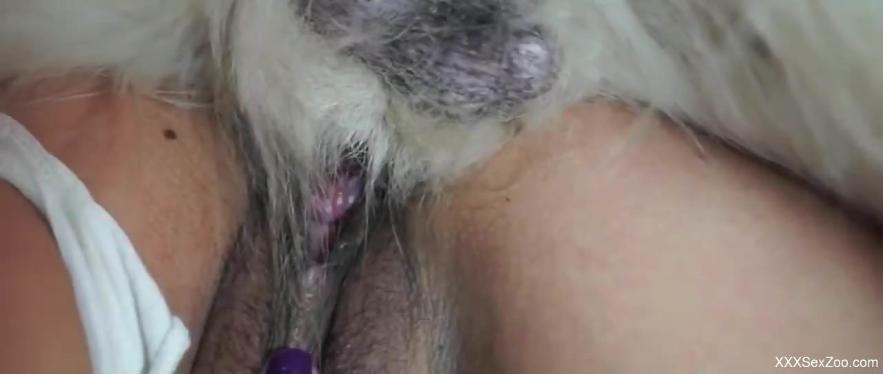 Brunette woman shoves big dog penis up her wet pussy