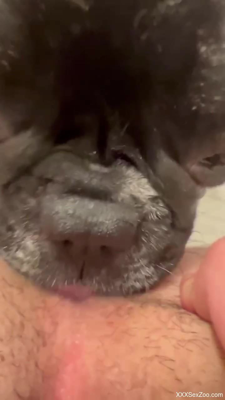 Dirty, horny dog pleasuring that sexy shit in POV