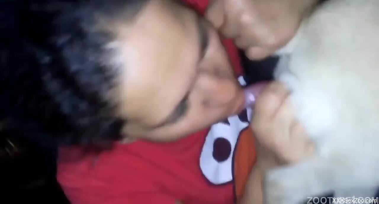 Aroused woman filmed giving blowjob to a small dog