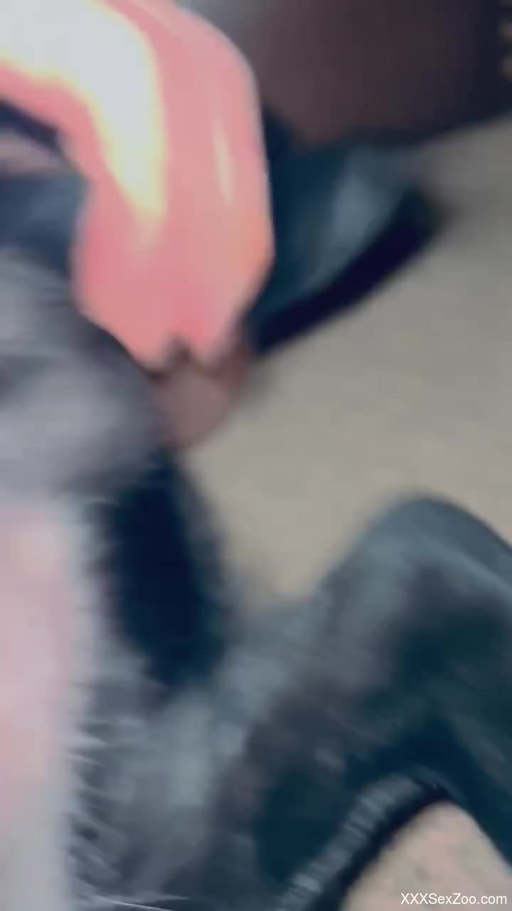 Handjobs make dog cocks even harder and better